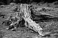 2017_08_24_Vosges (0079)